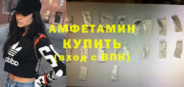 молекула духа Кулебаки
